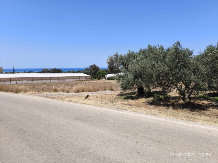 (For Sale) Land Plot out of City plans || Irakleio/Tympaki - 1.980 Sq.m, 130.000€ 