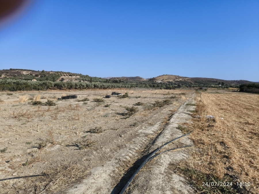 (Προς Πώληση) Αξιοποιήσιμη Γη Αγροτεμάχιο || Ν. Ηρακλείου/Τυμπάκι - 1.344 τ.μ, 27.000€ 